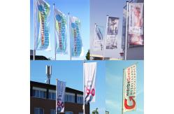 China ODM Vertical Country Flags supplier