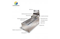 China 1000KG/H Fruit And Vegetable Processing Line Bubble Washing And Vibrating Drying supplier