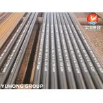 Boiler Tube ASTM A213 Grade T5 Alloy Steel Seamless Tube Black Painted For Boiler for sale