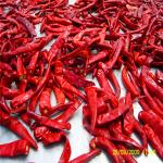 Spicy Chinese Dried Red Chili Peppers With As Ingredients for sale