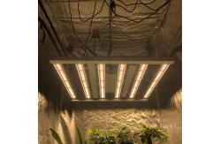 China Full Spectrum 480w 400w Dimmable LED Grow Lights supplier