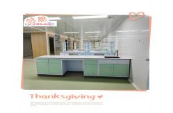 China Customizable Easy Installation Lab Furnitures For Educational Labs supplier