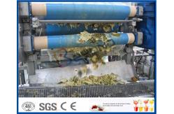 China High Efficient Pineapple Processing Line With Pineapple Cutting Machine supplier