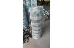 China Versatile Metal Link Fencing Powder Coated Finish Adjustable Post Lengths supplier