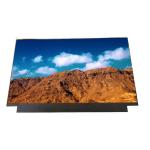 LQ133M1JW51 13.3 Inch 1920*1080 LCD Panel Screen Display for sale