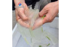 China 1500KG/H Commercial bulk aloe Vera peeling machine Aloe processing peeling machine supplier