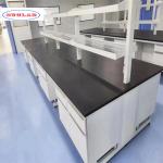 Chemistry Lab Bench As Drawing Shelves and Cupboards for Optimal Space Utilization for sale