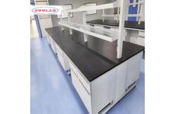China High Environmental Friendliness Chemistry Lab Bench Solid Structure Multifunctional Functionality supplier