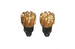 China Rock Heads PDC Drag Bit 8mm 13mm Polycrystalline Diamond Compact Bits supplier
