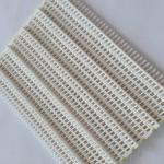                  Customized Vegetable Washing Machine Plastic Mesh Conveyor Belt             