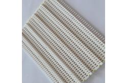 China                  Customized Vegetable Washing Machine Plastic Mesh Conveyor Belt              supplier