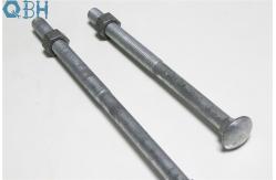 China Hexagon Cup Head Bolt Long Square Neck Gal With ISO4032 HDG Finish supplier