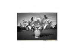 China LTD121EDKP 10.4 inch 262K 1024*768 LCD Screen Display supplier
