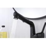 Matte Black Brass Bathroom Basin Faucets With Sprayer Single Handle Rotating Sink