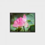 China 34.3 Inch Square LCD Panel 1856*1420 1500 Nits Display LCD Module factory
