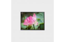 China 34.3 Inch Square LCD Panel 1856*1420 1500 Nits Display LCD Module supplier