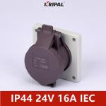 IP44 24V 48V 2P Single Phase Low Voltage Panel Mounted Socket for sale