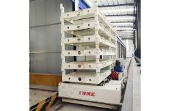 China Heavy Load RGV Automatic Rail Trolley supplier