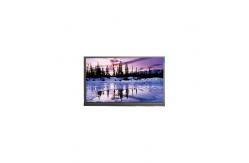 China original 11.6 inch N116BCA-EB1 1366*768 eDP LCD Display supplier