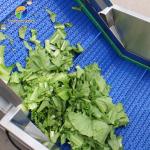 Automatic Fruit And Vegetable Processing Line Selection Washing Drying