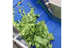 China Automatic Fruit And Vegetable Processing Line Selection Washing Drying supplier