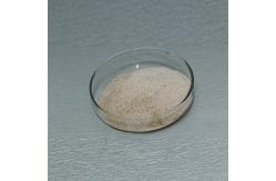 China Food Grade Flavourzyme Novozymes For Protein Peptide Processing , Weakening Bitterness supplier