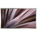 M185B3-LA1 LCD screen display panel for Desktop Monitor for sale
