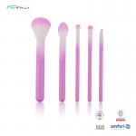 Colorful 5pcs Cosmetic Makeup Brush Set With pink Plastic Handle for sale