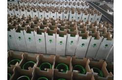 China 99.5 High Purity Refrigerant R404A Refillable Cylinder 12L supplier