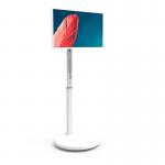 27 Inch 60Hz Refresh Rate HD Smart Standbyme TV With Android 12 System