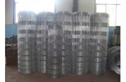 China Galvanized Hinge Joint Page Wire 2.5mm Farm Field Fence Livestock Prevent supplier
