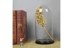 China D30 x H30cm Handmade Large Glass Display Box Dome Cloche With Wood Base supplier