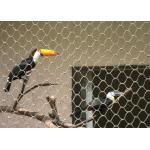 Knotted Stainless Steel Aviary Mesh Heat Resistant Perfect Anti - Rust Property