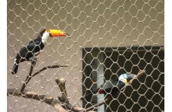 China Knotted Stainless Steel Aviary Mesh Heat Resistant Perfect Anti - Rust Property supplier