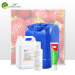 Top Quality 100% Pure Concentrated Strawberry Flavor For Toothpaste Making With Food Grade Fruit Flavor Concentrated for sale