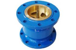 China Multi Single Disc Door Flanged PN10 Stainless Swing Check Valve supplier