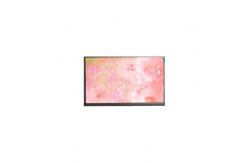 China N116HSE-DA2 11.6 inch 1920*1080 LCD Screen LCD Module supplier