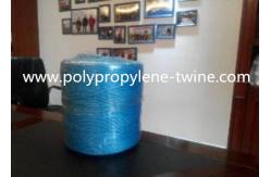 China 1 Ply Polypropylene Tying Twine supplier