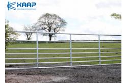 China Livestock Farm  Welded Mesh Fencing , Galvanized Welded Wire Mesh Easy Arranged supplier