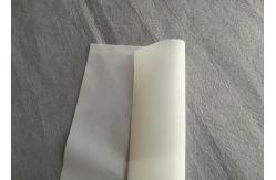 China Food Grade JPP 120T-40W Monofilament Nylon Mesh 40 Micron supplier
