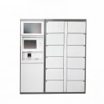 Electronic Mailbox Delivery Locker For Post Service , Automated Parcel Lockers