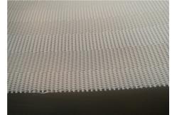 China Paper Making Press SGS Polyester Sludge Dewatering Belt supplier