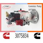Diesel Injection For Cummins KTA50 PT Fuel Pump 3075834 3059657 3060947