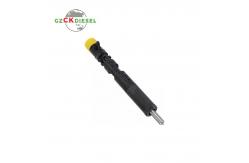 China Common Rail Diesel Fuel Injector 28232248 166009384R supplier