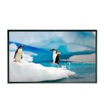 1920x1080 32 Inch LCD Screen 12V Transmissive Lcd Display for sale
