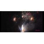 Liuyang 235 Shots Pyro Consumer Salute Cake Fireworks for sale