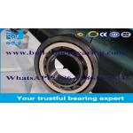 High Speed Rotation Brass Cage Cylindrical Roller Bearing For Automotive / Rolling Mill for sale