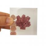 Transparent resin cube brick paperweight with Coral inside