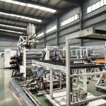 High Capacity Plastic Extruder With Customized Screw And Die Controlled By PLC System for sale