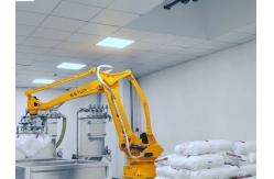 China Robotic Palletiser ESTUN ER120  Palletizing  Robots Work Stacking supplier